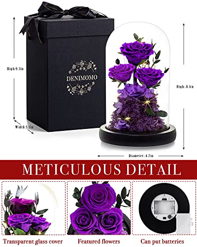 DENIMOMO Preserved Rose Gifts for Mom Wife Grandma Forever Real Roses in Glass Dome,Beauty and The Beast Rose Flowers,Thanksging Anniversary Birthday Gifts/Purple