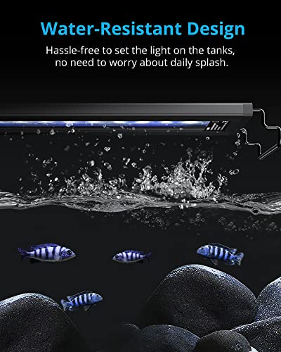 NICREW AquaLux White and Blue LED Aquarium Light, Intensity Adjustable Freshwater Fish Tank Light with 8/10/12 Hours Timer, Sunrise and Sunset Function, 12-18 Inch, 6 Watts