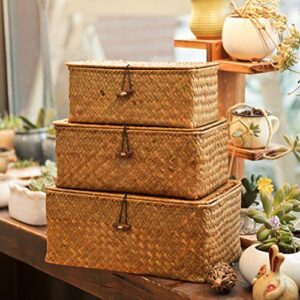 Veemoon 3 Pcs Woven Storage Chests with Lid& Button Hand- Woven Rattan Desktop Storage Box Storage Basket Straw Woven Debris Desktop Storage Box- Size S, M, L