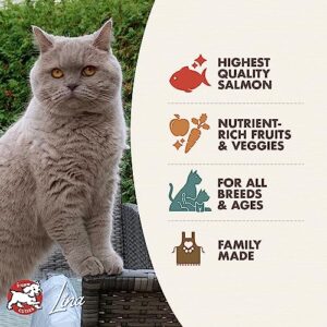 Fromm Four-Star Nutritionals Salmon Tunachovy Cat Food - Premium Dry Cat Food - Salmon Recipe - 10 lb