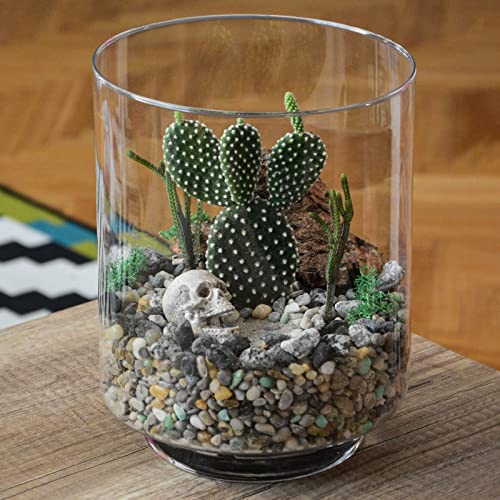 JINWOKEJI Natural Stone for Plants Small Decorative Mixed Color Pebbles Aquarium Gravel River Rock for Succulent Bonsai Cactus, 3/8", 2.2lb