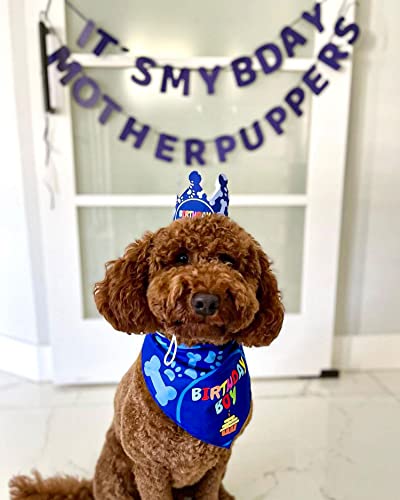 Odi Style Dog Birthday Party Supplies - Dog Birthday Bandana Set - Birthday Boy Bandana for Medium, Large Dogs, Party Hat, Crown and Cute Dog Birthday Banner with It's My Birthday Mother Puppers Sign