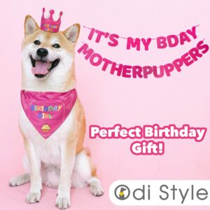 Odi Style Dog Birthday Party Supplies - Dog Birthday Bandana Set - Birthday Girl Bandana for Medium, Large Dogs, Party Hat, Crown and Cute Dog Birthday Banner with It's My Birthday Mother Puppers Sign