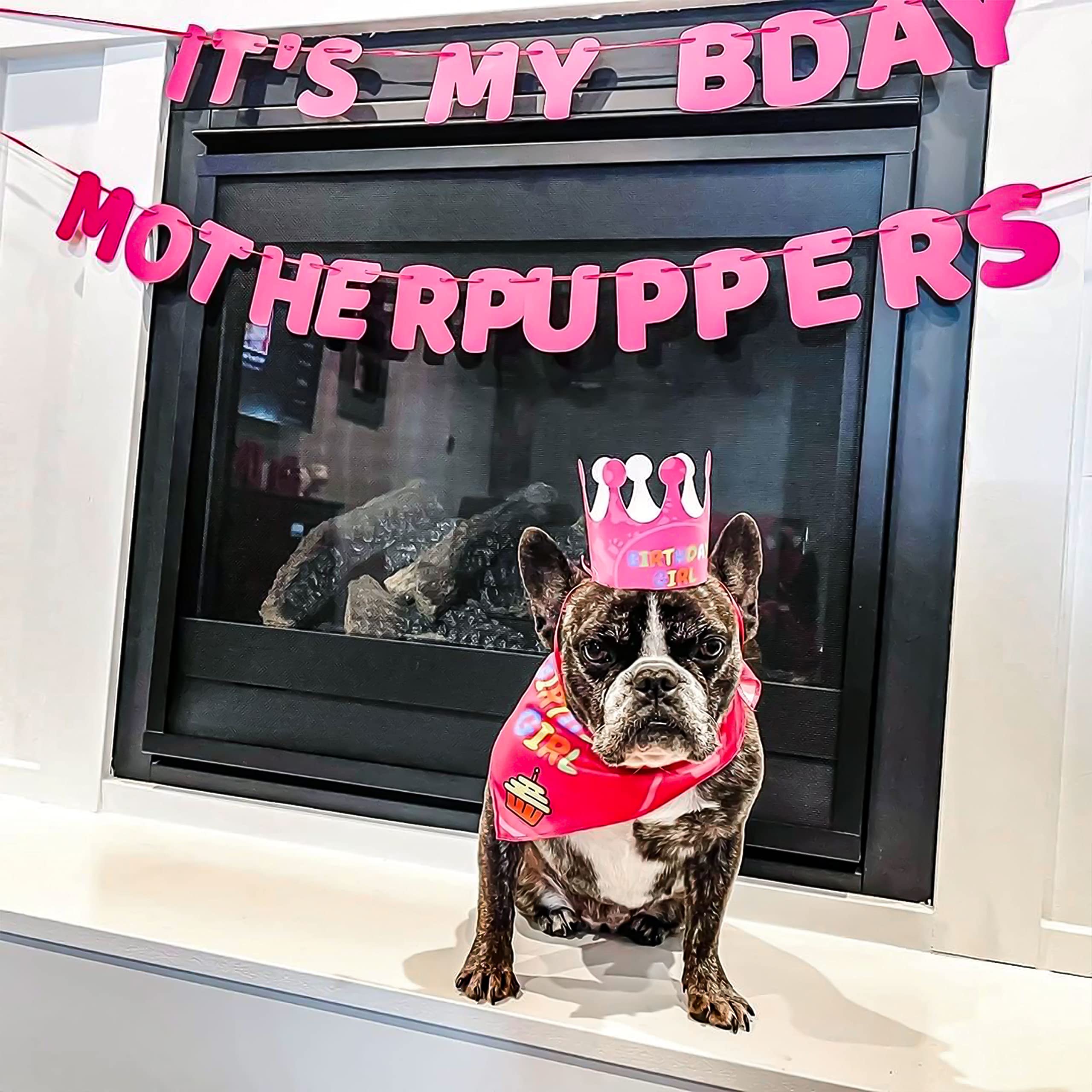 Odi Style Dog Birthday Party Supplies - Dog Birthday Bandana Set - Birthday Girl Bandana for Medium, Large Dogs, Party Hat, Crown and Cute Dog Birthday Banner with It's My Birthday Mother Puppers Sign