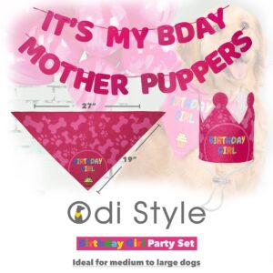 Odi Style Dog Birthday Party Supplies - Dog Birthday Bandana Set - Birthday Girl Bandana for Medium, Large Dogs, Party Hat, Crown and Cute Dog Birthday Banner with It's My Birthday Mother Puppers Sign