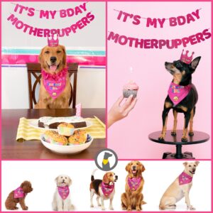 Odi Style Dog Birthday Party Supplies - Dog Birthday Bandana Set - Birthday Girl Bandana for Medium, Large Dogs, Party Hat, Crown and Cute Dog Birthday Banner with It's My Birthday Mother Puppers Sign