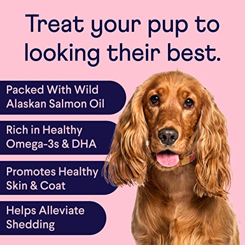 Finn Skin & Coat Salmon Oil Supplement for Dogs | Supports A Thick & Shiny Coat | Fish Oil from Wild Alaskan Salmon, Omega-3s, EPA & DHA, Biotin, & Zinc | 90 Soft Chews