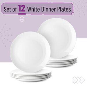 BTaT- White Dinner Plates, Set of 12, White Plates, White Dinner Plates Bulk, White Plate Set, Plates, Dinner Plates, Plates Set, Restaurant Dishes, White Porcelain Dinner Plates