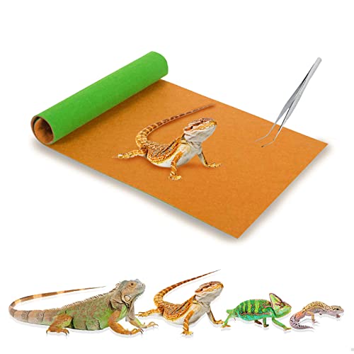 Tfwadmx 2 Pack Reversible Reptile Carpet, 39’’ x 20’’ Terrarium Bedding Substrate Liner Lizard Soft Mats Reptile Cage Mat Supplies and Tongs for Bearded Dragon Tortoise Leopard Gecko Snake