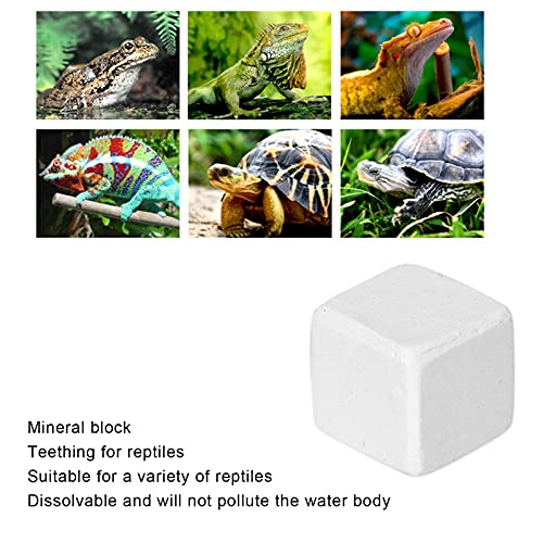 Entatial Aquarium Calcium Stone, Can Be Placed Directly in The Breeding Environment Calcium for Snails for Reptiles for Terrestrial Animals for Daily for Turtles