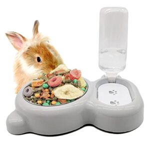 Tfwadmx Pet Double Dishes Rabbit Food Water Dispenser Set Cat Self Filling Bowls No Spill Dog Automatic Waterer Bottle Anti Gravity Feeder Cute Detachable Stainless Steel Bowl for Kitten Puppy Bunny