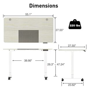 WOKA Dual Motor Electric Standing Desk, 55" x 28" Adjustable Height Stand up Desk, Sit Stand Desk for Home Office with 4 Memory Controller, Motorized Desk with Splice Board, White and Grey Tabletop