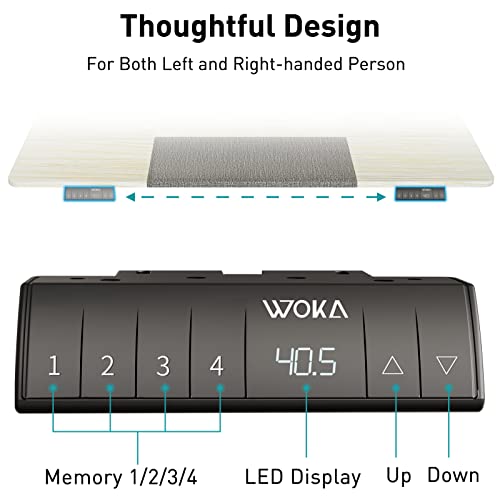 WOKA Dual Motor Electric Standing Desk, 55" x 28" Adjustable Height Stand up Desk, Sit Stand Desk for Home Office with 4 Memory Controller, Motorized Desk with Splice Board, White and Grey Tabletop