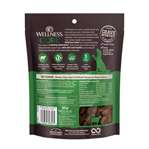 Wellness CORE Soft Tiny Trainers (Previously Petite Treats), Natural Grain-Free Dog Treats for Training, Made with Real Meat, No Artificial Flavors (Lamb & Apple, 6 Ounce Bag)