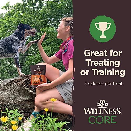 Wellness CORE Soft Tiny Trainers (Previously Petite Treats), Natural Grain-Free Dog Treats for Training, Made with Real Meat, No Artificial Flavors (Lamb & Apple, 6 Ounce Bag)