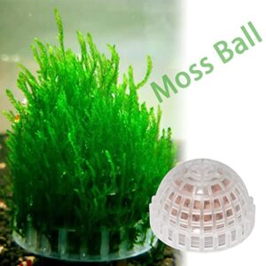 DGHAOP 2pcs Plastic Aquarium Shrimp Fish Tank Media Moss Ball Holder Fish Tank Accessories Home Decoration 5x3cm, Transparent