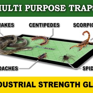 MaxGuard Extra Large Insect Traps (8 Traps) | Non-Toxic Extra Sticky Pre-Baited Glue Board, Trap & Kill Most Crawling Insects, Bugs, Spiders, Crickets, Scorpions, Cockroaches, Centipedes, Snakes.