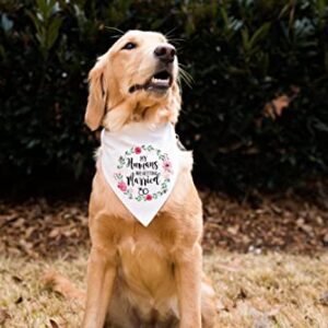 Ptzizi Funny My Humans are Getting Married White Pet Dog Bandana Bibs Scarf, Wedding Photo Prop Pet Accessories for Dog Lovers Gift