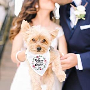 Ptzizi Funny My Humans are Getting Married White Pet Dog Bandana Bibs Scarf, Wedding Photo Prop Pet Accessories for Dog Lovers Gift