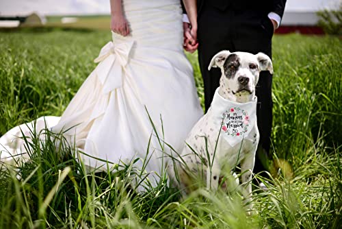 Ptzizi Funny My Humans are Getting Married White Pet Dog Bandana Bibs Scarf, Wedding Photo Prop Pet Accessories for Dog Lovers Gift