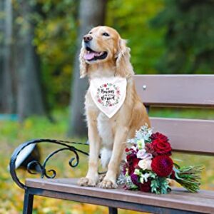 Ptzizi Funny My Humans are Getting Married White Pet Dog Bandana Bibs Scarf, Wedding Photo Prop Pet Accessories for Dog Lovers Gift