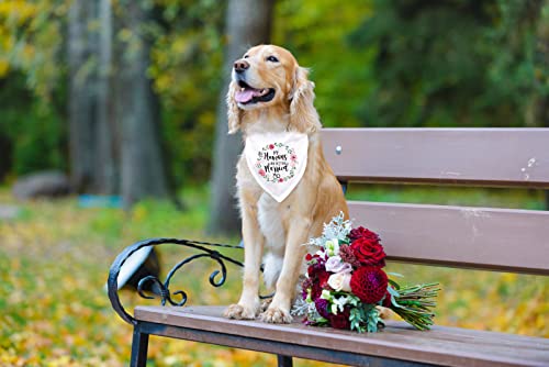 Ptzizi Funny My Humans are Getting Married White Pet Dog Bandana Bibs Scarf, Wedding Photo Prop Pet Accessories for Dog Lovers Gift