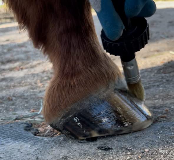 Pure Sole Hoof Oil - All Natural Hoof Conditioner for Horses with Hoof Oil Brush Applicator - Strengthens, Moisturizes and Treats Hoof Problems - 16 fl oz.