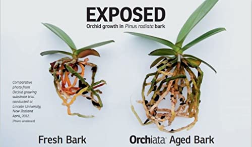 Orchiata Orchid Bark | Orchid Bark for Plants 100% Pure New Zealand Pinus Radiata | Classic ¼” to ⅜” Organic Potting Orchid Bark for Aeration and Longevity