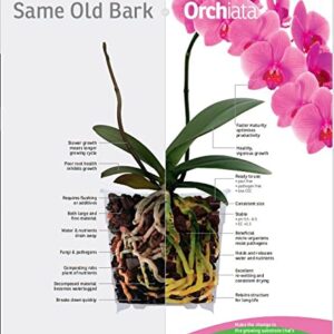 Orchiata Orchid Bark | Orchid Bark for Plants 100% Pure New Zealand Pinus Radiata | Classic ¼” to ⅜” Organic Potting Orchid Bark for Aeration and Longevity