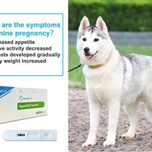 SmileCare Pet Rapid Dog Pregnancy Test Kit，Canine Pregnancy Relaxin RLN Auxiliary Diagnostic Healthy Testing Kit for Dogs 10-Packed