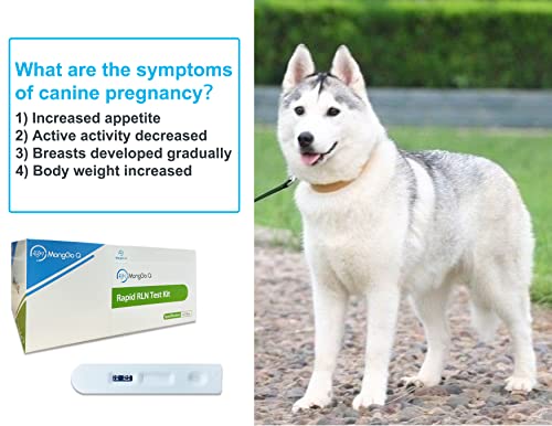 SmileCare Pet Rapid Dog Pregnancy Test Kit，Canine Pregnancy Relaxin RLN Auxiliary Diagnostic Healthy Testing Kit for Dogs 10-Packed