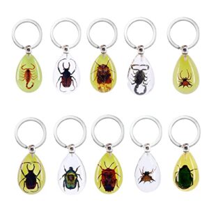 qtmy 6 pack insect in resin specimen collection paperweights keychain,christmas for men women biology science teacher education,mystery box (3)