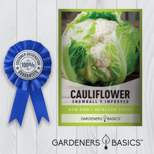 Cauliflower Seeds for Planting - (Snowball Y Improved) is A Great Heirloom, Non-GMO Vegetable Variety- 1 Gram Seeds Great for Outdoor Spring, Winter and Fall Gardening by Gardeners Basics