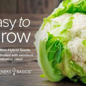 Cauliflower Seeds for Planting - (Snowball Y Improved) is A Great Heirloom, Non-GMO Vegetable Variety- 1 Gram Seeds Great for Outdoor Spring, Winter and Fall Gardening by Gardeners Basics