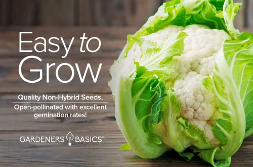 Cauliflower Seeds for Planting - (Snowball Y Improved) is A Great Heirloom, Non-GMO Vegetable Variety- 1 Gram Seeds Great for Outdoor Spring, Winter and Fall Gardening by Gardeners Basics