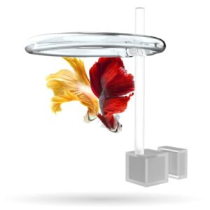 magnetic invisible feeding ring (customizable and auto-leveling) food portal for floating plant aquariums and fish tanks (single)