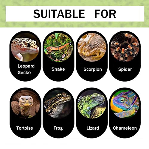 Hamiledyi Reptile Hideout Cave Resin Rock Lizard Hideout Cave Amphibians Hideaway Reptile Habitat Decoration for Lizards Chameleons Geckos Frogs Turtles Snakes