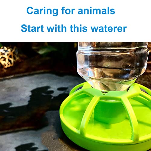 Bilindasly 1PCS Reptile Food Dish Automatic Water Drinker Dispenser Feeding Bowl Lizard Tortoise Feeder Round Dish Terrarium Dish Drink Bottle for Turtle Tortoise Lizard