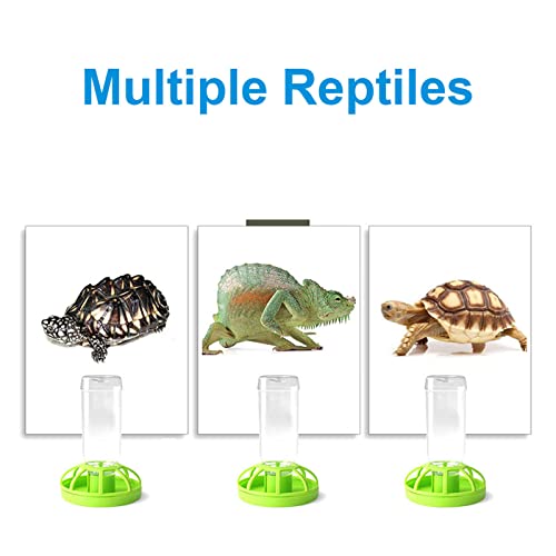 Bilindasly 1PCS Reptile Food Dish Automatic Water Drinker Dispenser Feeding Bowl Lizard Tortoise Feeder Round Dish Terrarium Dish Drink Bottle for Turtle Tortoise Lizard