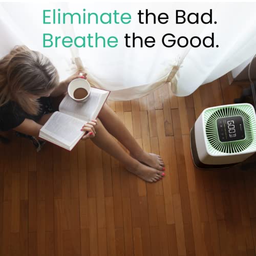 Greentech Environmental pureAir Active HEPA+ Room with ODOGard - Odor Eliminator and Air Purifiers for Home, Office, and Bedroom, Up to 375 Square Feet, Neutralizes Tough Odors, Easy Set Up