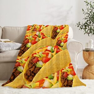 Taco Blanket Throw, Funny Food Blanket Gift for Daughter and Son, Ultra Soft Lightweight Flannel Fleece Micro Blanket for Couch Home Bed Sofa Travel Chairs 30"x40" for Toddler/Little Pets