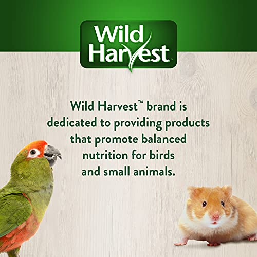 Wild Harvest Foraging Instincts Peck n’ Play Interactive Treat, 4.3 Ounce, for Large Birds