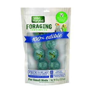 Wild Harvest® Foraging Instincts Peck n’ Play Interactive Treat, 2 Ounce, for Small Birds