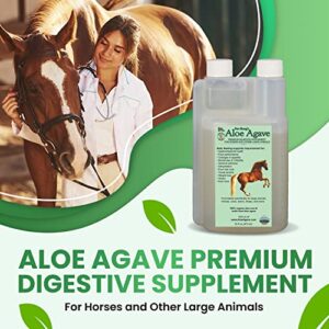 Original Udder Balm Doc Hoag’s Aloe Vera+Agave Premium Horse Supplement for Gut Health, Natural Equine Gastric Support & Stress Relief, Support Ulcer Improvement for Horses and Other Large Animals