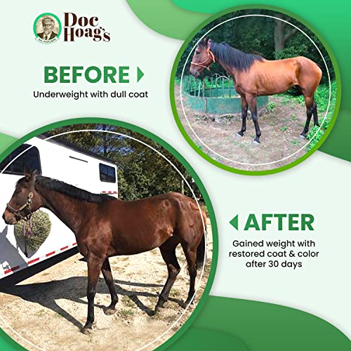 Original Udder Balm Doc Hoag’s Aloe Vera+Agave Premium Horse Supplement for Gut Health, Natural Equine Gastric Support & Stress Relief, Support Ulcer Improvement for Horses and Other Large Animals