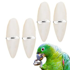 dqitj 4 pcs cockatiels cuttlebones cuttlefish bones for birds cockatiels all parrots lovebirds small conures mynahs toucans african greys parakeets budgies finches canaries (6.3 inch)