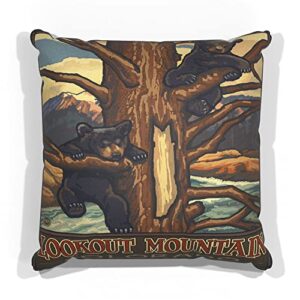 lookout mountain colorado two bear cubs canvas throw pillow for couch or sofa at home & office from travel artwork by artist paul a. lanquist 18" x 18".
