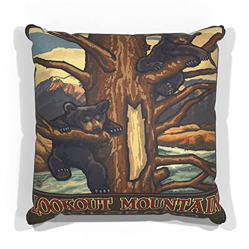 Lookout Mountain Colorado Two Bear Cubs Canvas Throw Pillow for Couch or Sofa at Home & Office from Travel Artwork by Artist Paul A. Lanquist 18" x 18".