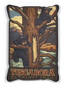 tuscarora gunflint trail minnesota two bear cubs canvas throw pillow for couch or sofa at home & office from travel artwork by artist paul a. lanquist 13" x 19".