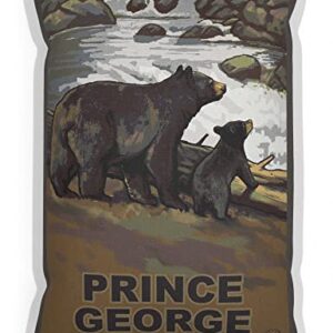 Prince George British Columbia Canada Bear Cub Falls Canvas Throw Pillow for Couch or Sofa at Home & Office from Travel Artwork by Artist Paul A. Lanquist 13" x 19".